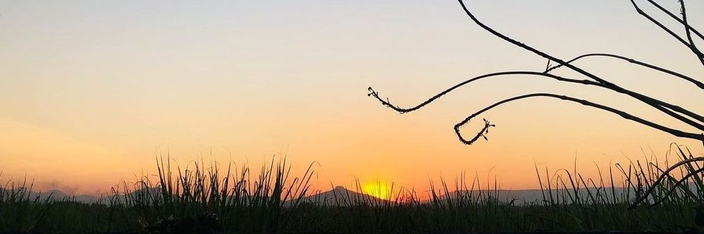 Ris_ki07's profile banner image
