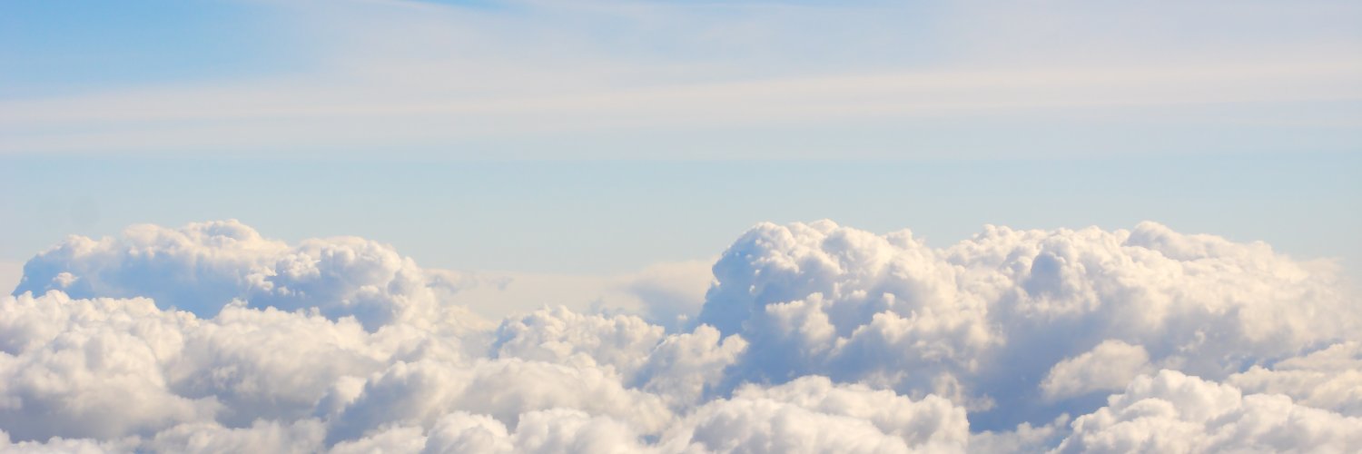 Mickie McLeod banner
