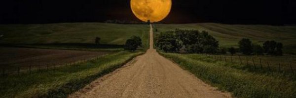 Daradondo Profile Banner