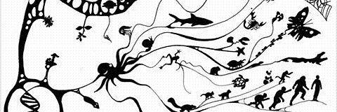 CEBiologia's profile banner image