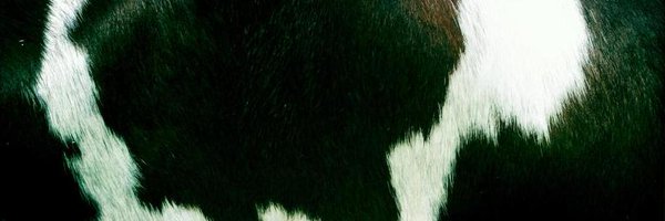 radiomeuh Profile Banner