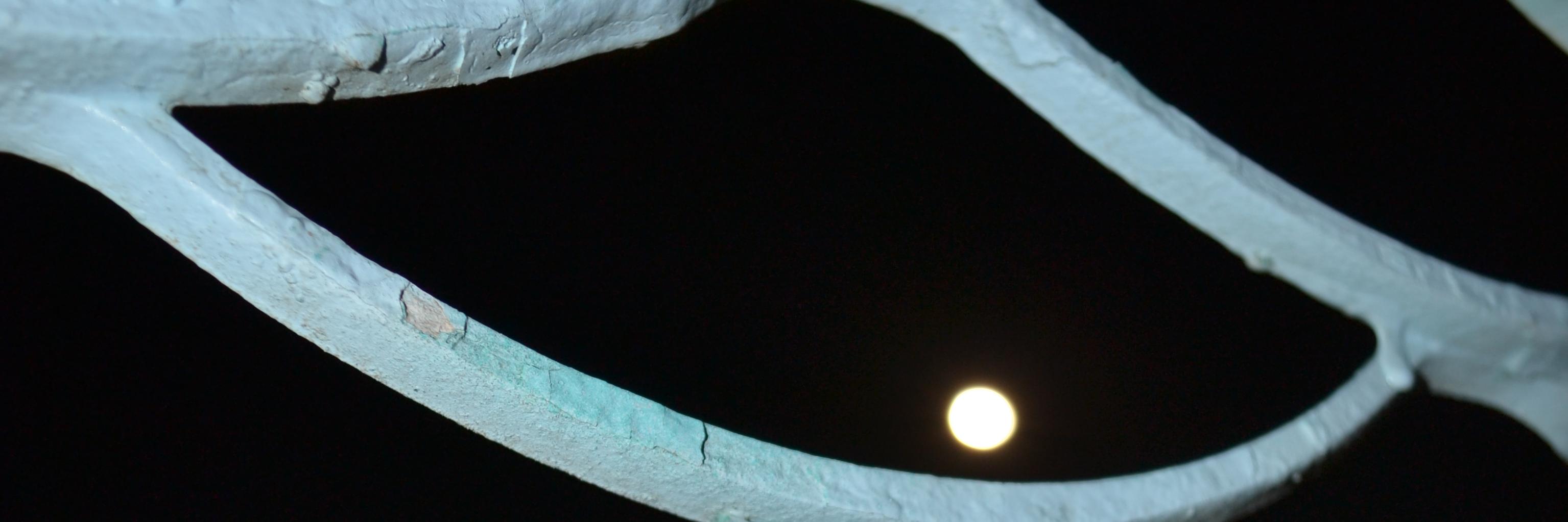 Enlightened Fool banner