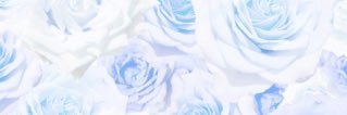 rnunu_'s profile banner image