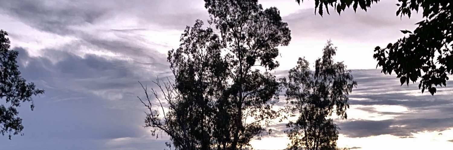 cyn_bay's profile banner image