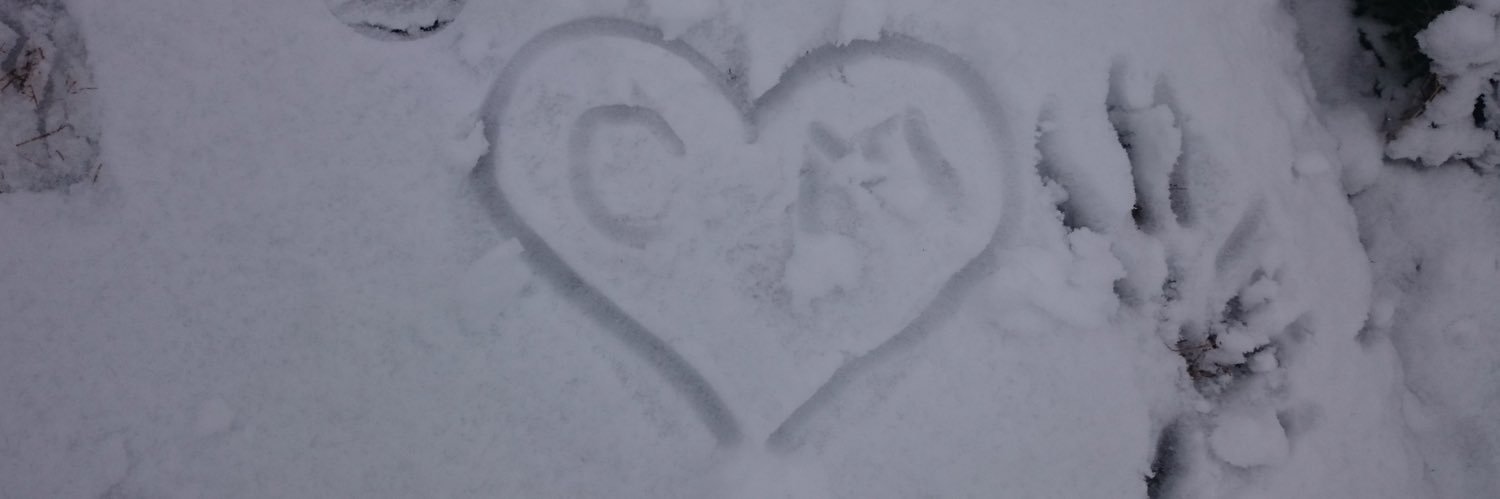 carofer's profile banner image
