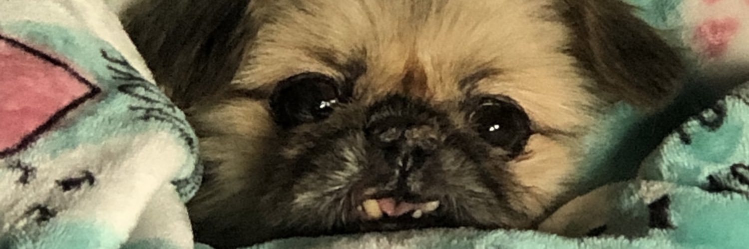 dawnyre70's profile banner image