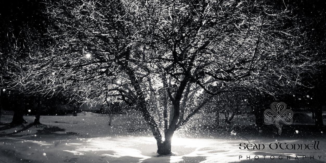 SOCPhotography's profile banner image