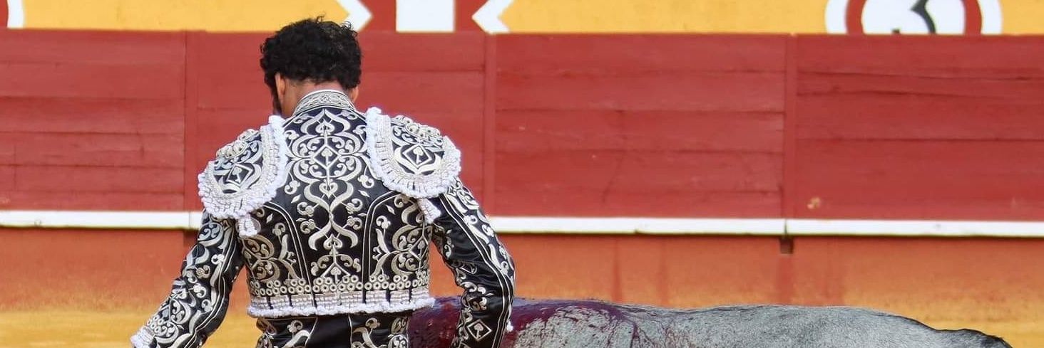 uroamigo's profile banner image