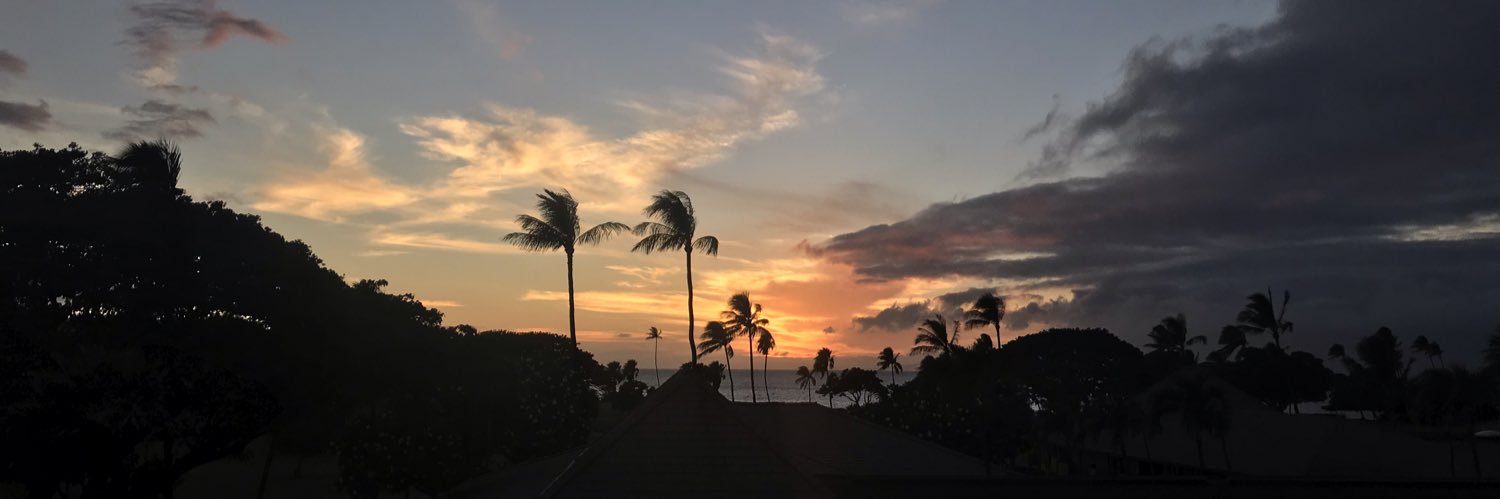 HaileyJellison's profile banner image