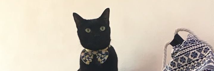 seedlingkate's profile banner image