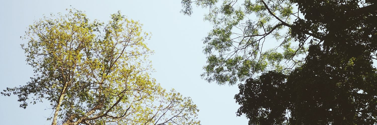cancallNAME's profile banner image