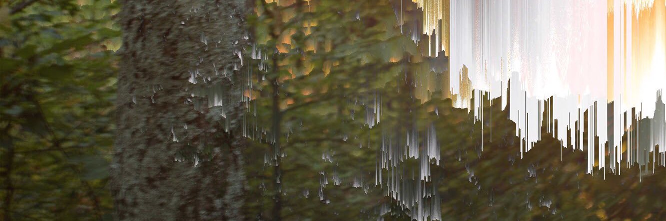 messes banner