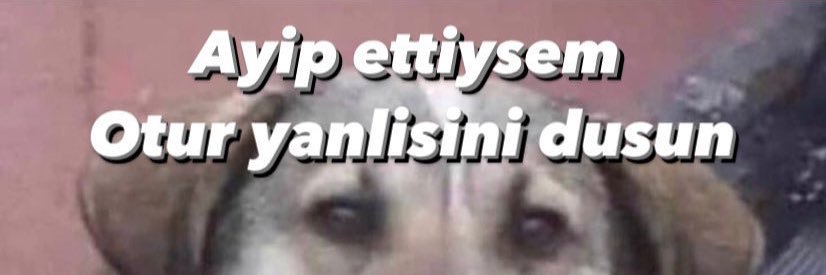 eeeecccck's profile banner image