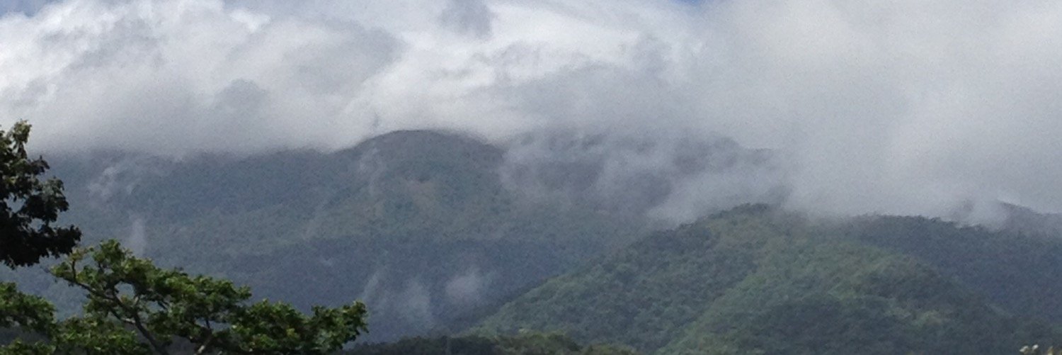amado44's profile banner image