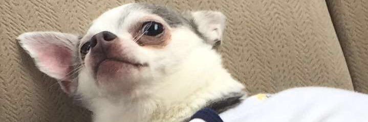 Connor Madden banner