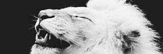 MeineLiebeAlexa's profile banner image
