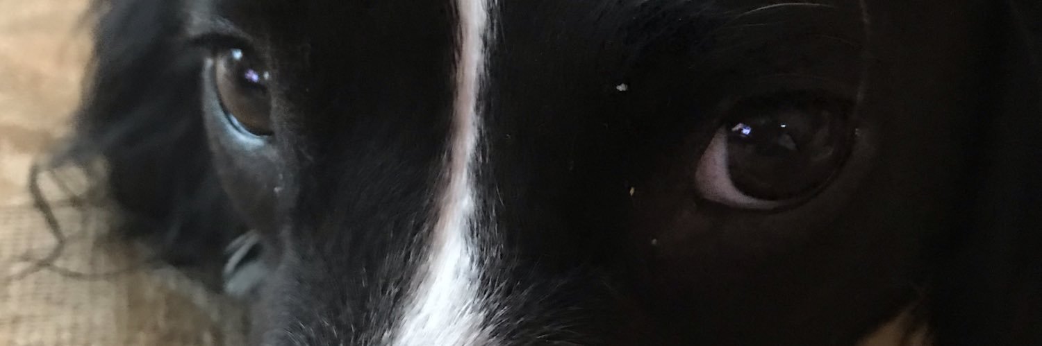 AngieB1969's profile banner image