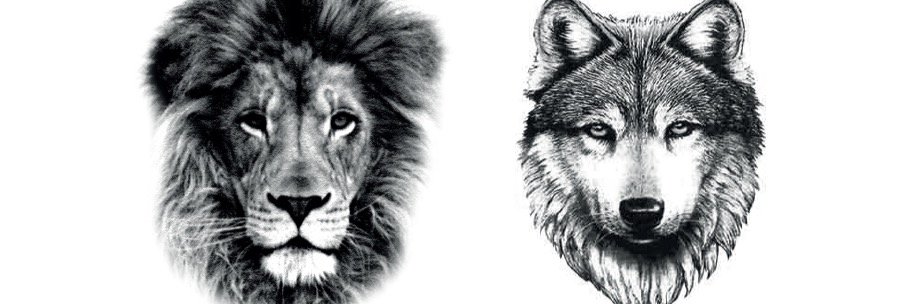 Take_ASip's profile banner image