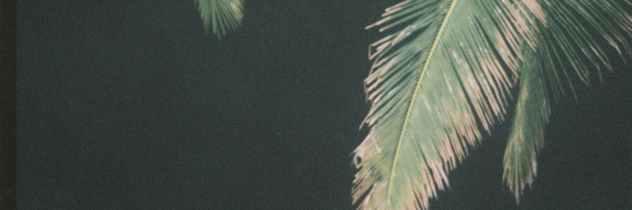 victoria banner