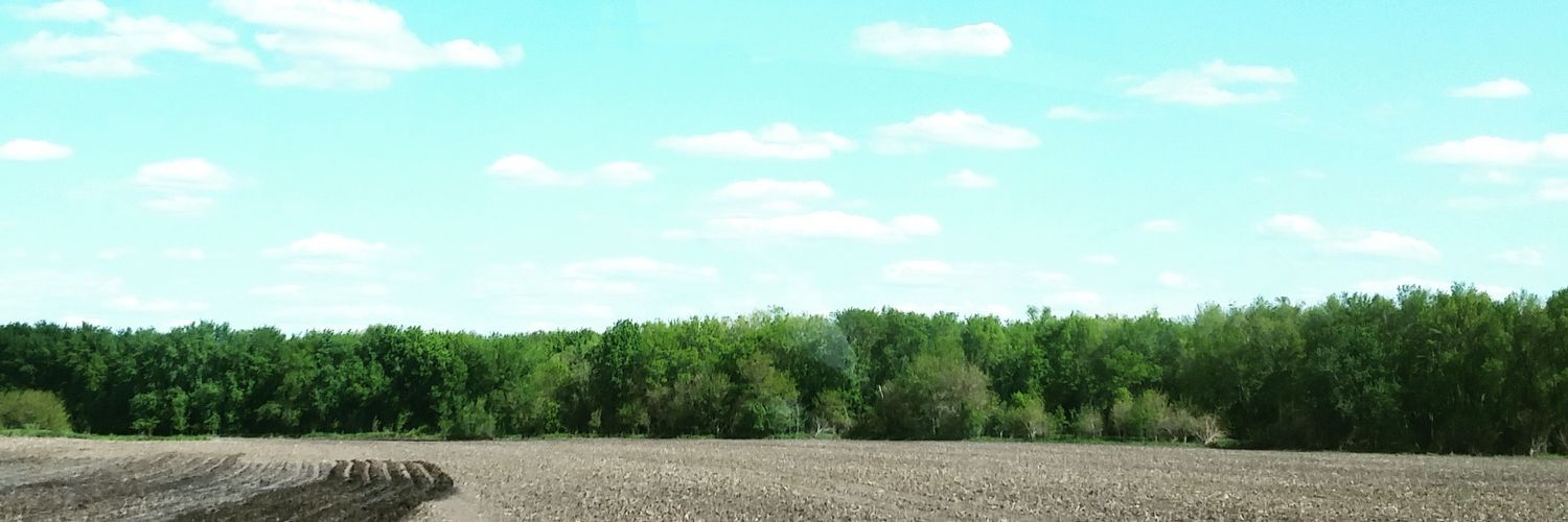 ImCFLO's profile banner image