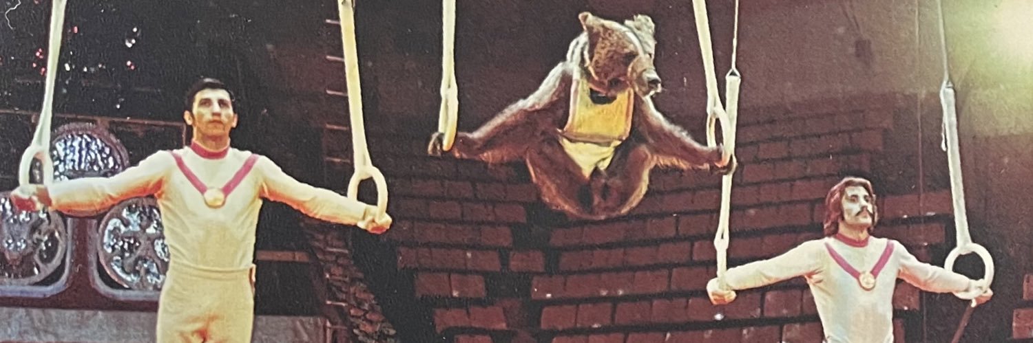 classiestwalrus's profile banner image