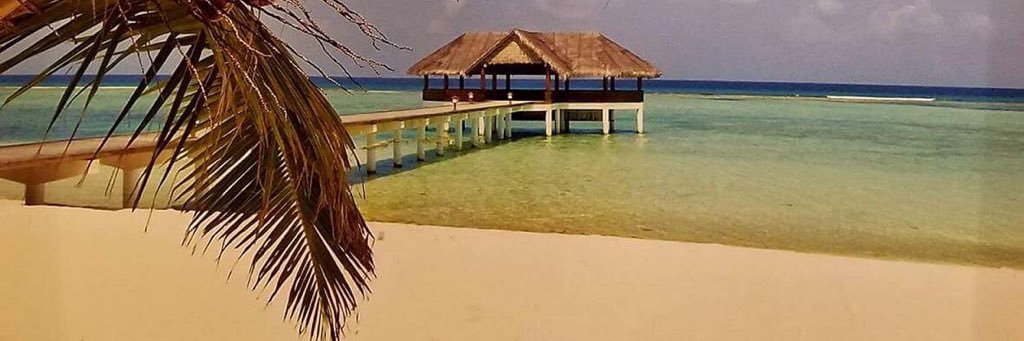 NancyMontVal's profile banner image