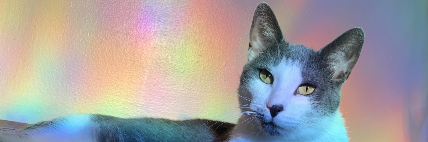 brittanymaster3's profile banner image