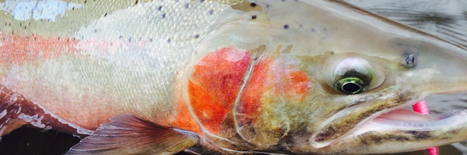 FishingGearFan's profile banner image