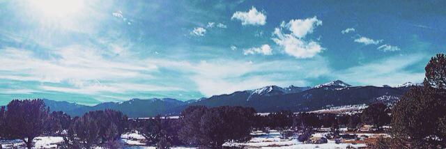 ally_maurer's profile banner image