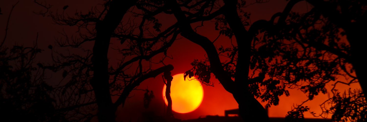 BLaveaga's profile banner image