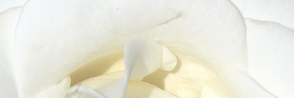 decoraholic's profile banner image