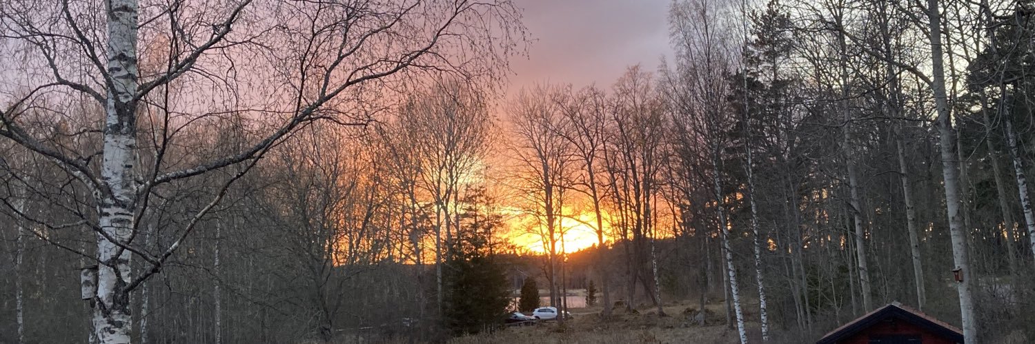 AForsby's profile banner image