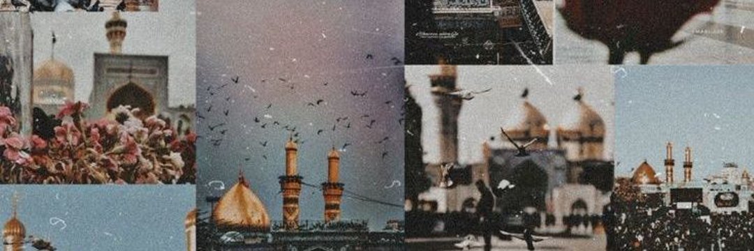 Aliya Zaidi's banner
