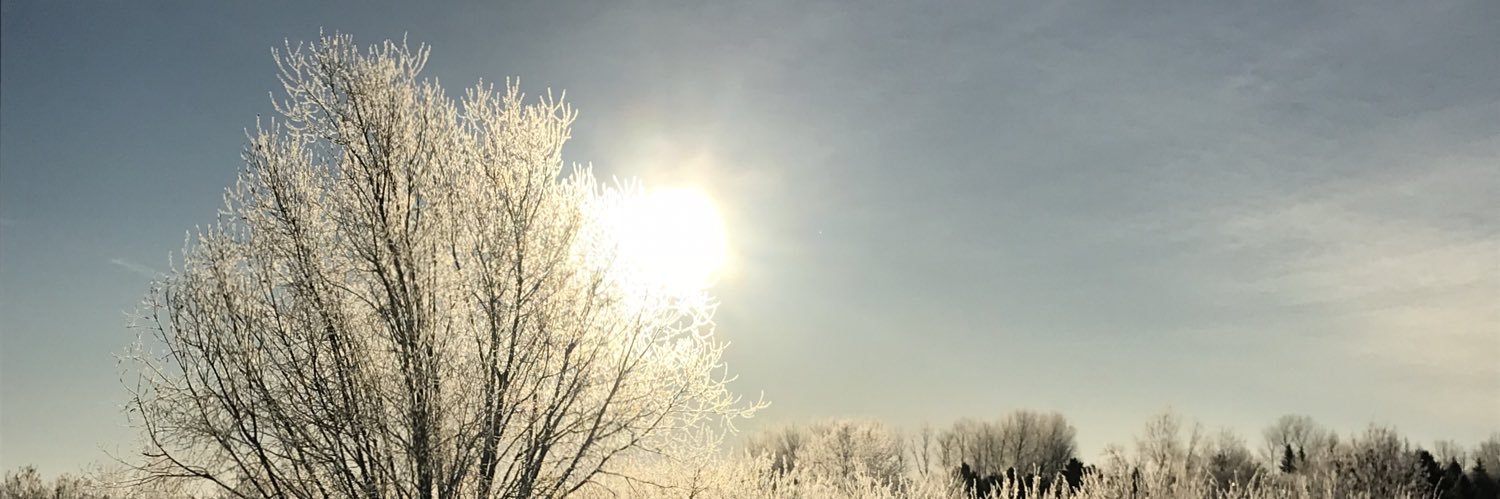 swartysez's profile banner image
