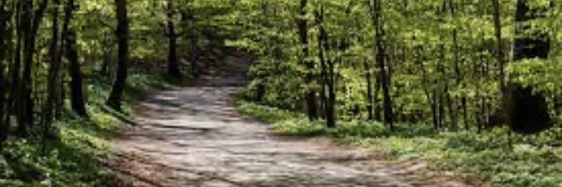 HopeSpringer88's profile banner image