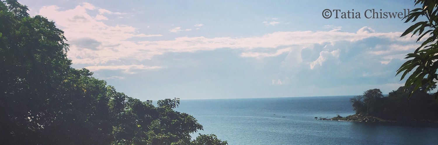 tatiachiswell's profile banner image