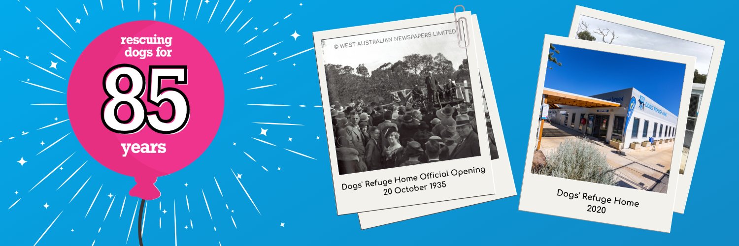 Dogs' Refuge Home banner