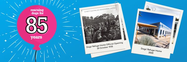 DogsRefugeHome Profile Banner