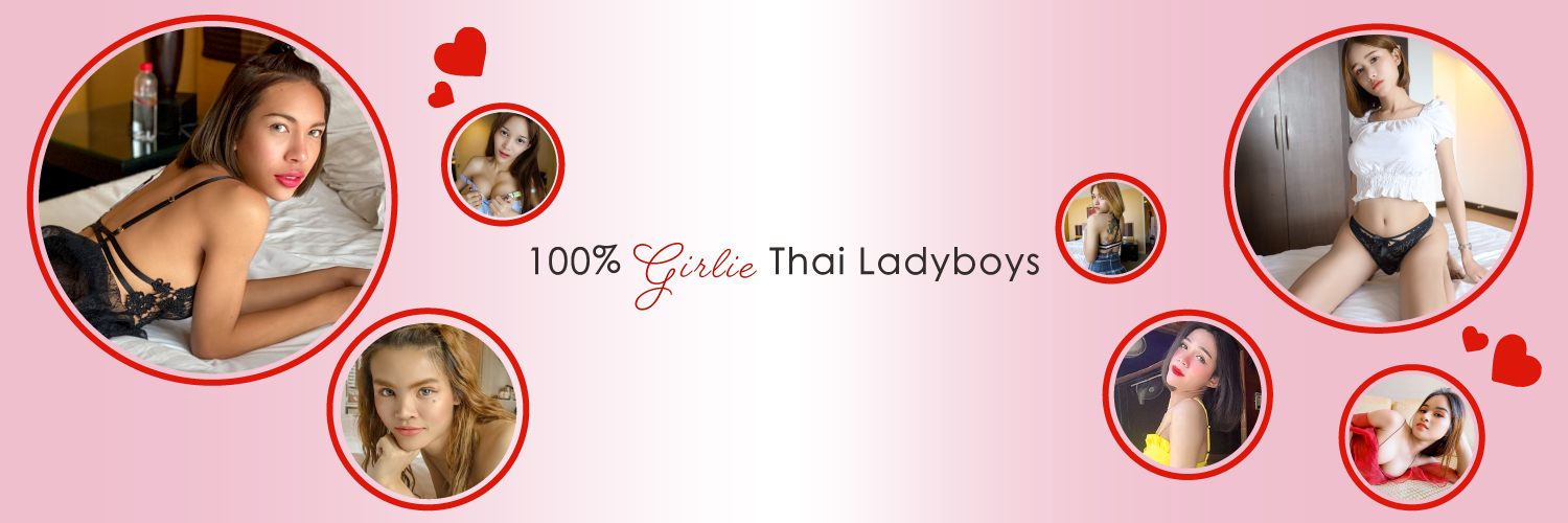 Hello Ladyboy banner