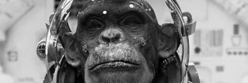 chandraarjun_my's profile banner image