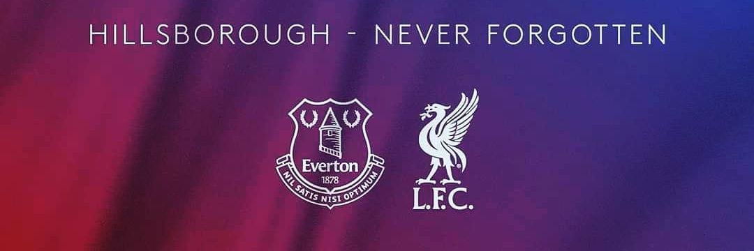 life as an Evertonian banner