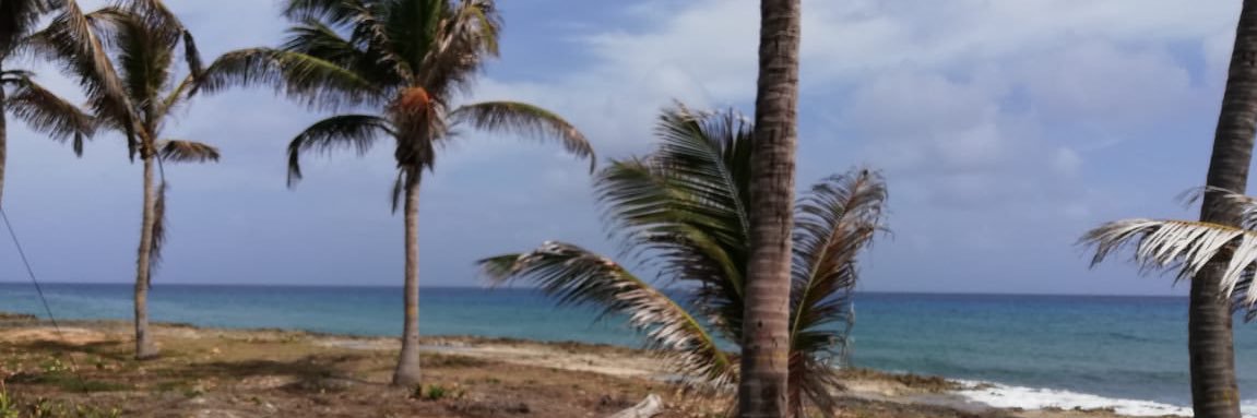 jjosorio's profile banner image