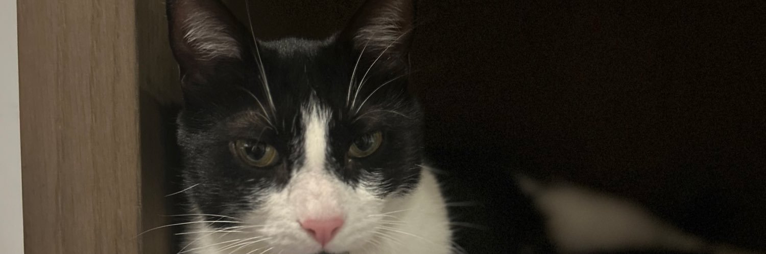 HugoLbt13's profile banner image
