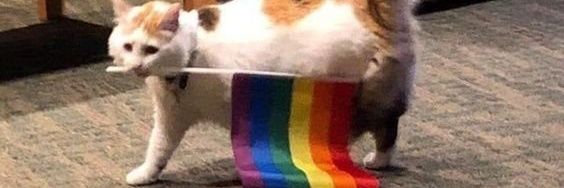 baddassars's profile banner image
