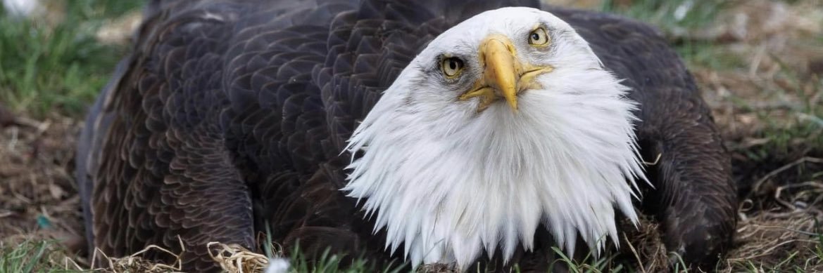 World Bird Sanctuary banner