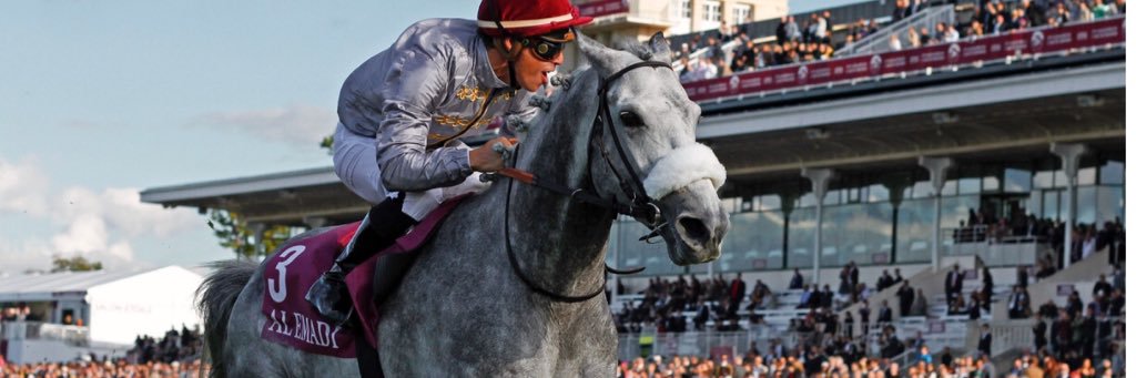 Fourcy Thomas banner