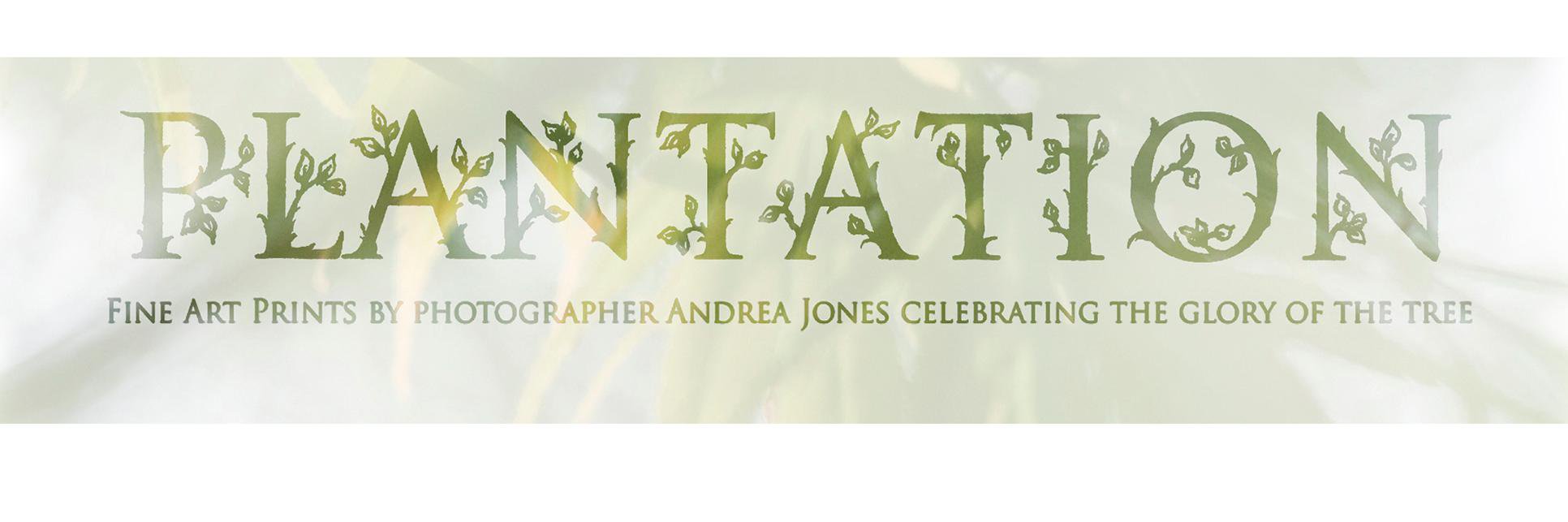 plantationprint's profile banner image