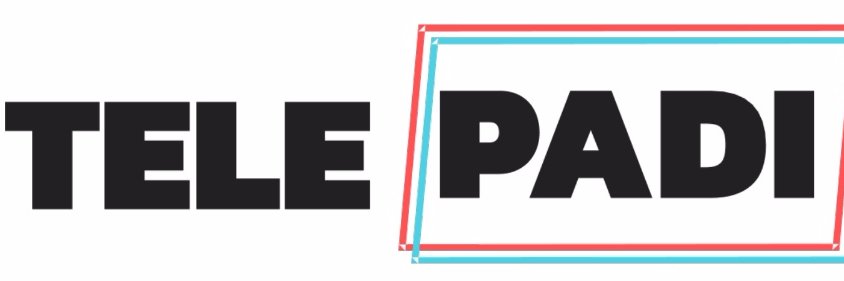 Cristina Padiglione banner