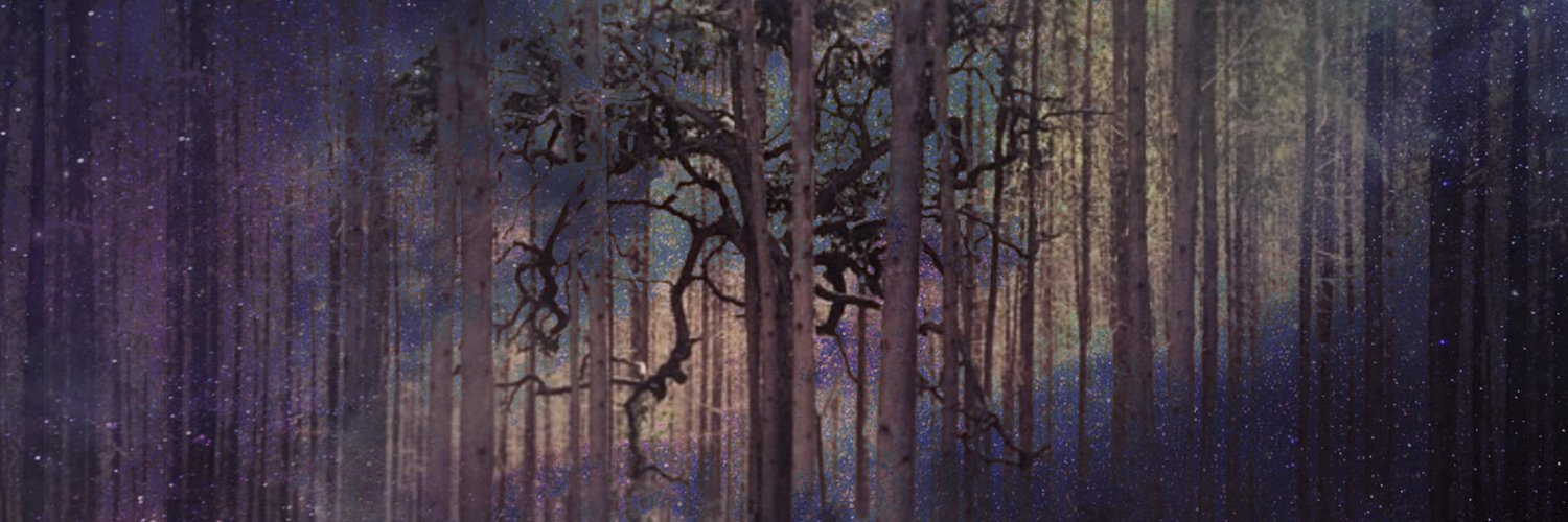 Paul Domingos banner