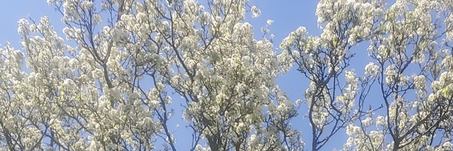 StacyMarie0280's profile banner image
